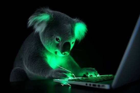 Koala Writer Alternatives: The Complete Guide